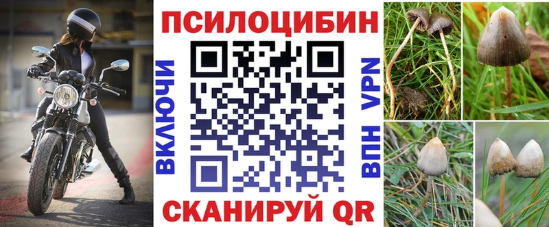Псилоцибиновые грибы Psilocybe  Агидель 